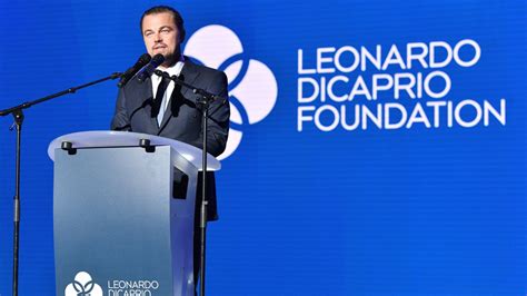 leonardo dicaprio environmental foundation